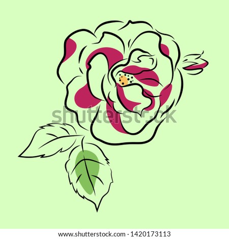 Beautiful red rose with leaves on green background. Sketch, logo, postcard