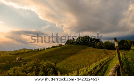 Storm in the vineyards of Friuli Venezia-Giulia, Italy