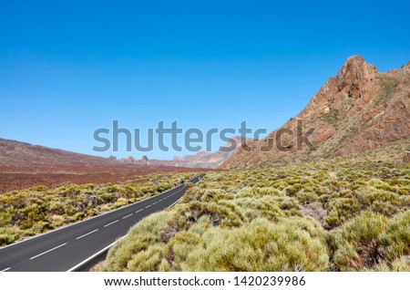 Teide National Park scenic landscape with an asphalt road, Tenerife, Spain.