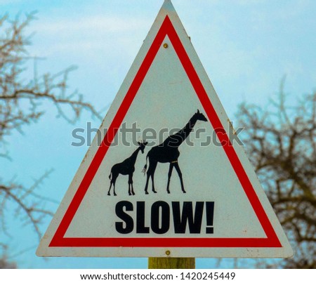 Traffic Sign, Caution Giraffes, Namibia