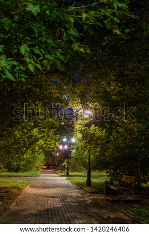 Evening view in the park - a path in the park lit by lanterns