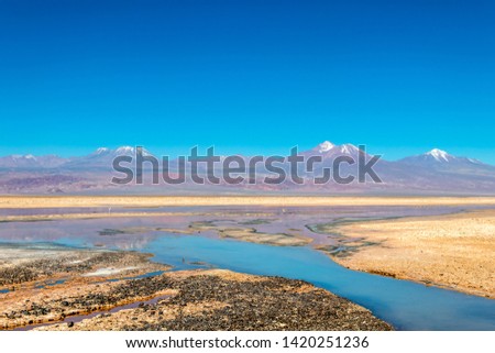 Beautiful landscape of the Chaxa Lake (Laguna Chaxa) with reflection of surroundings and blue sky in Salar of Atacama, Chile