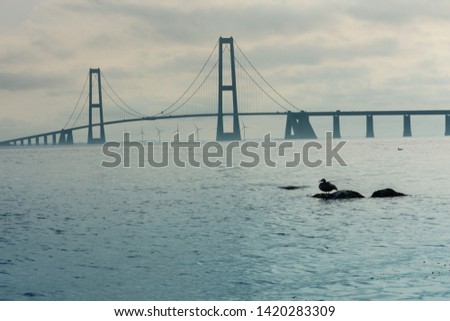 Storebaelt bridge with a duck in the foreground from the Granskoven Strand in Denmark