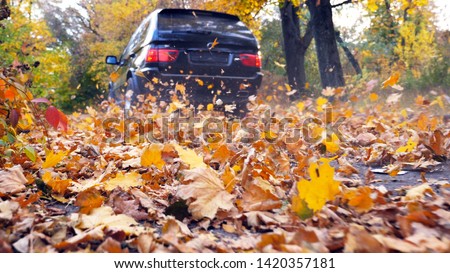 Black SUV driving fast along an empty road over yellow leaves at park. Colorful autumn foliage flies out from under wheel of automobile. Powerful car crossing through trail at sunny day. Rear view. Royalty-Free Stock Photo #1420357181