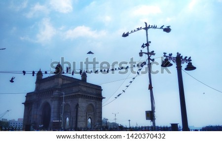 Evening Picture of Gate Way Of India With The Birds Sitting Near It.