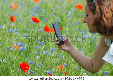 Woman takes photo of red poppies on smartphone