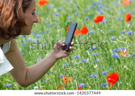 Woman takes photo of red poppies on smartphone