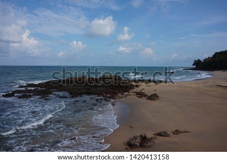 Sandy beach with rocks and trees at island in south sea