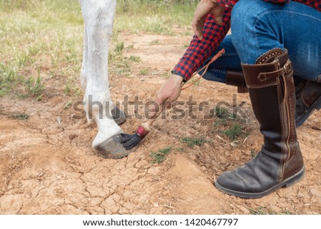 Hand of anonymous man using brush to smear wax on hoof of white horse on ranch 