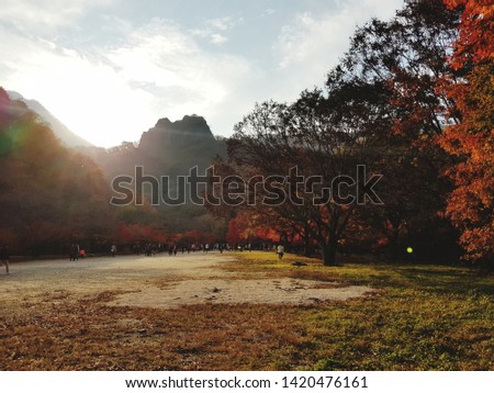 Landscape picture in Korea, Naejang mountain. Colorful fall leaves are observed.