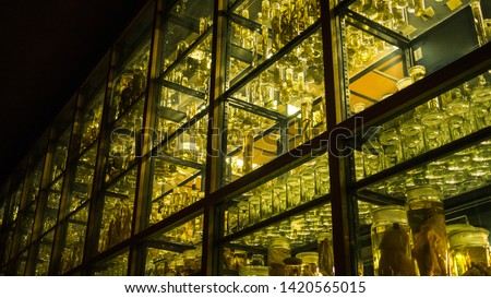 A mad scientist's laboratory contains jarred fetuses and other creepy materials akin to Frankenstein's lab Royalty-Free Stock Photo #1420565015