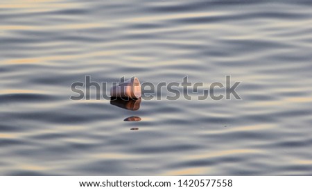styrofoam cup floating in the lake