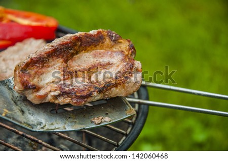 Hot grilled food in garden