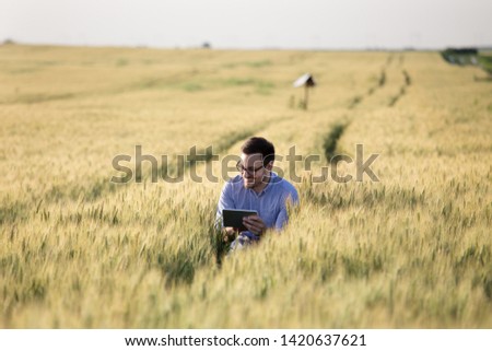 Stisfied young agronomist squatting in barley field and looking at tablet
