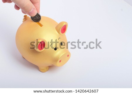gold piggy Bank on white background
