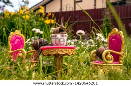 A series of photos "One day in the life of snails". Tea party of snails in green grass.
