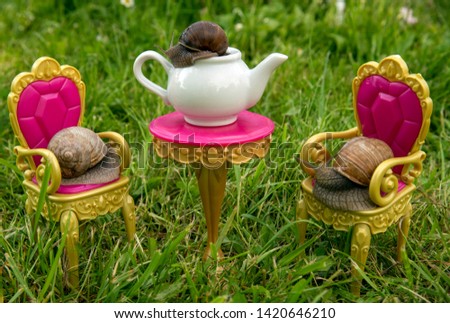 A series of photos "One day in the life of snails". Tea party of snails in green grass.