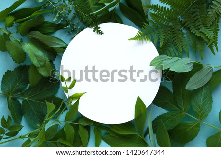 Creative layout of green leaves, various wild plants on blue and white empty round frame, copy space. Summer, spring or ecology concept.