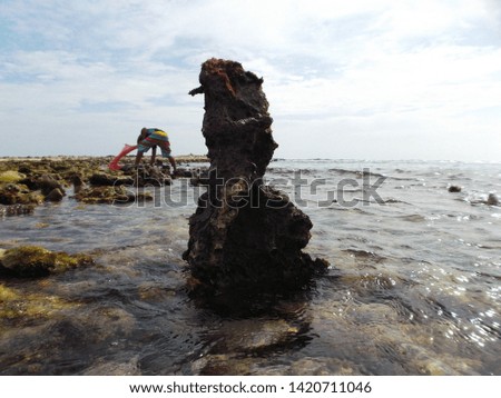 Photo about Stones covered with seaweed on the green and gray background of the coast