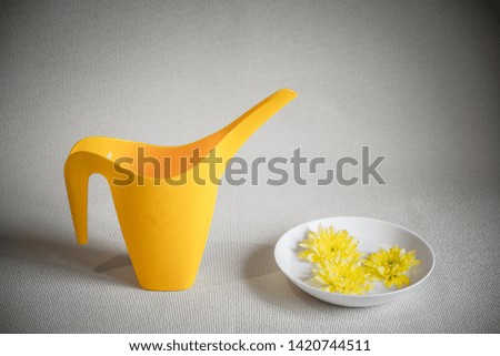 Minimalist still life. Bright white saucer of milk with yellow chrysanthemums and gray pitcher on a colorless background. The concept of nature and contrast of the story. Copy spase