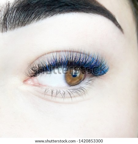 Eyelash extensions colored eyelashes, blue eyelashes