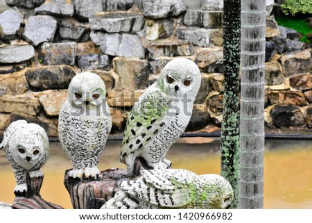 Owl statue
In the garden, the lawn looks cute and beautiful.