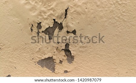 Crack wall paint with moisture.
