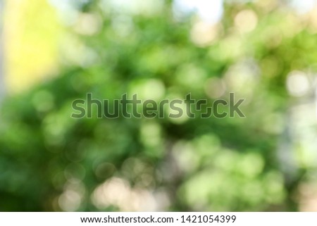 Blurred view of abstract green background. Bokeh effect