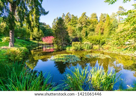 deep dark forest lake with reflections of trees and green foliage with shadows textured background