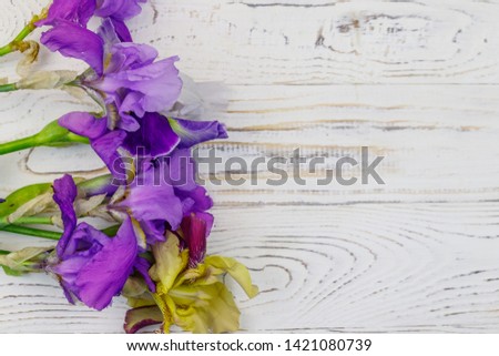 Bouquet of colorful iris flowers on a white wooden background. Top view, copy space