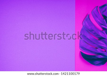Creative neon colored gradient tropical plant green monstera leaf on acid plastic pink and violet  background. Trendy summer and tropical concept. Place for text. 