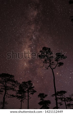 milkyway background at Phu soi dao national park, Thailand
