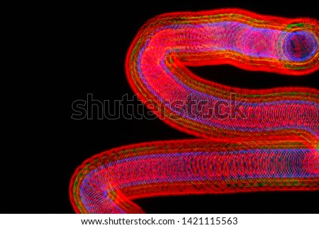 Abstract neon snake light painting / art created with an led fan. Abstract pattern for overlays, desktop backgrounds and screensavers. 