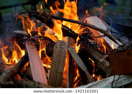 Burning wood logs in a campfire