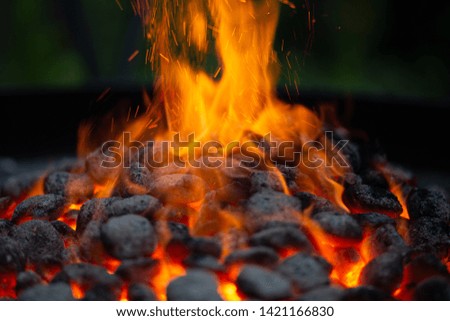 Grill Charcoal Lighting Up At A Barbeque