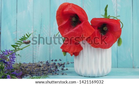 Scarlet poppies in a white vase and lavender on a blue wooden table