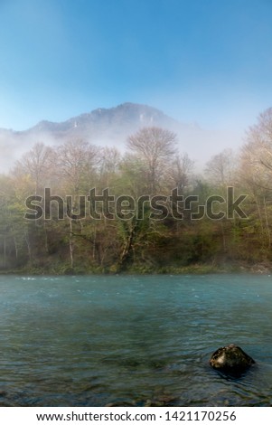 Fog over river in a forest in spring