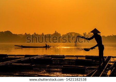 Fisherman feeds the fish in a commercial farm in Mekong river. Farmers feeding fish in cages, Mekong River. The Tilapia for feeding fish in northeast of Thailand. Royalty-Free Stock Photo #1421182538