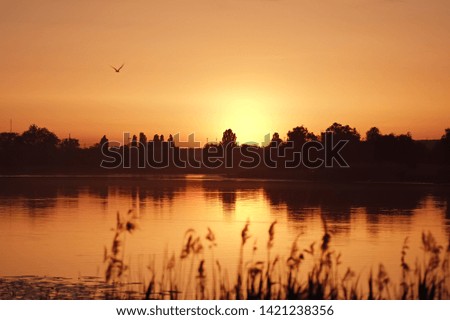 Sunset river landscape. Orange sunlight reflected on the river surface. Artistic natural image.