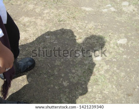 A beautiful picture of a shadow
