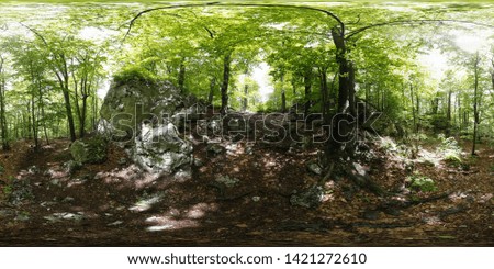 360 Degree Panorama - Polish natural Environment