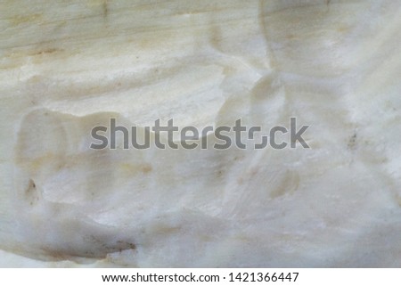 Texture of white petrified wood into opal macro shoot