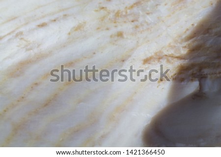 Texture of white petrified wood into opal macro shoot