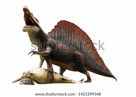 Spinosaurus dinosaur statue on white blackground