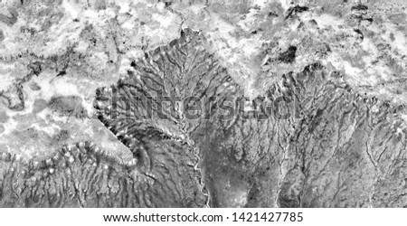 contaminated plants, black gold, polluted desert sand, black and white photo, abstract naturalism, photography of the deserts of Africa from the air, aerial view, abstract expressionism,