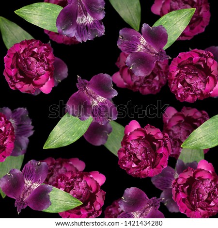 Beautiful floral background of purple alstroemeria and burgundy peonies. Isolated