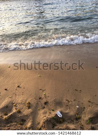 Picture of the beach in Alexandria
