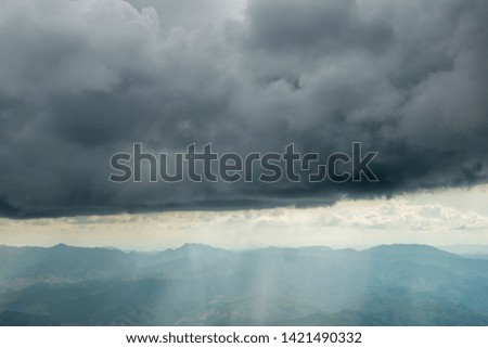 The view of the big rain in the forest with the blue mountain background in the rainy season. 