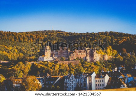 Castle and old town of Heidelberg with forrest in background