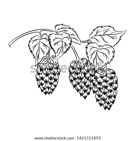 black and white hop branch pattern